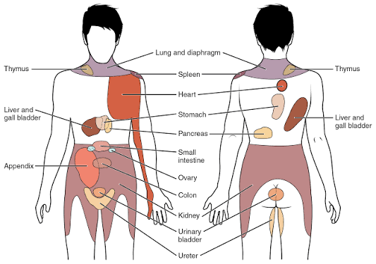 Cardiac and Non-Cardiac Sources of Chest Pain