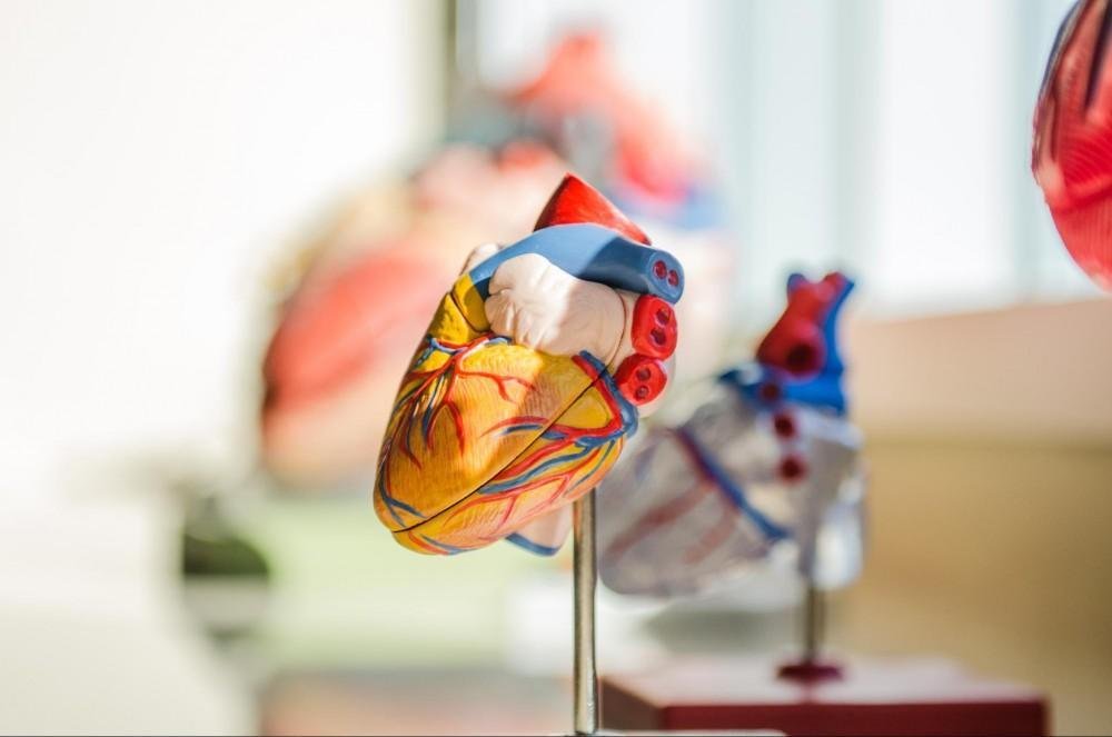 Finding A Cardiologist Who Meets Your Needs