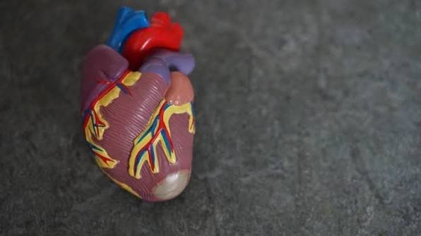 Lifestyle Changes Recommended by Cardiologists for Heart Disease Prevention