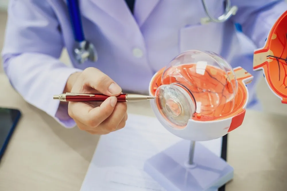 The Connection Between Eye Exams and Overall Health The Connection Between Eye Exams and Overall Health