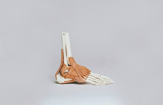 The Impact of Ankle Replacement Surgery The Impact of Ankle Replacement Surgery