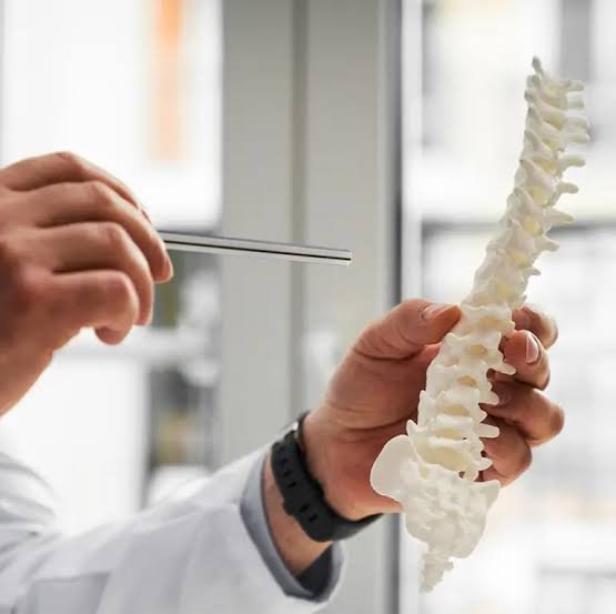 The Impact of Spinal Cord Injuries on Mobility and Independence The Impact of Spinal Cord Injuries on Mobility and Independence