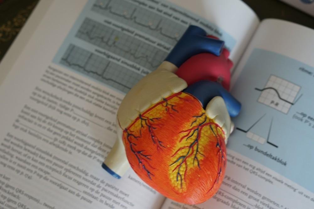 What To Know About Diabetes and Cardiovascular Health What To Know About Diabetes and Cardiovascular Health
