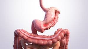 The Role of Endoscopy in Managing Chronic Digestive Issues