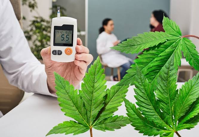 How To Get a Medical Marijuana Card and What To Expect During the Process